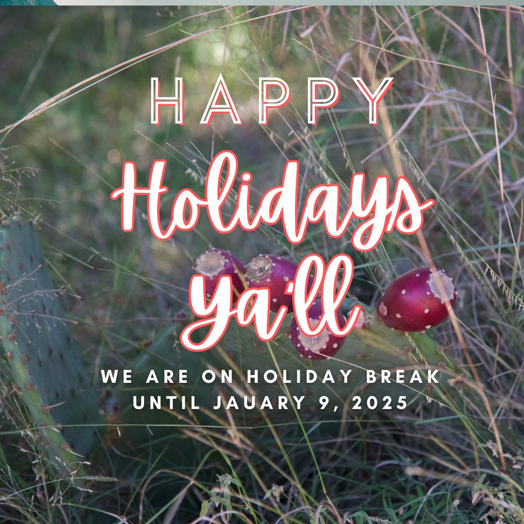 Chorus on Holiday Break-Looking forward to 2025 Chorus on Holiday Break-Looking forward to 2025